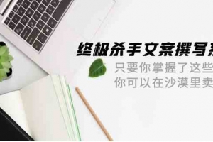 终极杀手文案撰写系统,只要你掌握了这些秘诀,你可以在沙漠里卖沙子(42节课)