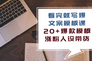 看完 就写爆的文案模板课,20+爆款模板  涨粉人设带货(11节课)