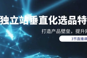 独立站-垂直化选品训练营,打造产品壁垒,提升网站利润(3节直播课)