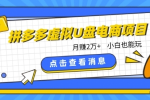 拼多多虚拟U盘电商红利项目:月赚2万+,新手小白也能玩