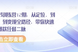 小红书训练营12期,从定位、到起号、到变现全路径,带你快速打通爆款任督二脉