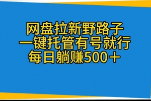 网盘拉新野路子,一键托管有号就行,全自动代发视频,每日躺赚500+