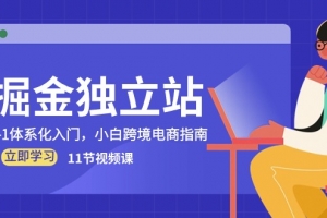 掘金独立站,0-1体系化入门,小白跨境电商指南(11节视频课)