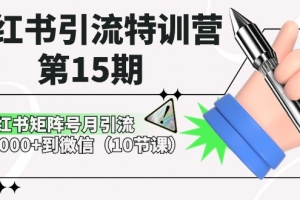 小红书引流特训营第15期,小红书矩阵号月引流80000+到微信(10节课)