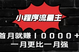 小程序流量主首月就赚10000+,一月更比一月强!小本创业首选