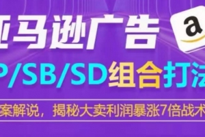 亚马逊SP/SB/SD广告组合打法,揭秘大卖利润暴涨7倍战术