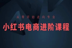 从零开始走向专业,小红书电商进阶课程