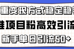 精准项目粉高效引流术,新手单日引流50+,多重变现方式稳定赚钱