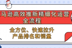 亚马逊高效推新精细化运营全流程,全方位、快速 拉升产品排名和销量