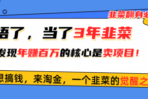 悟了,当了3年韭菜,才发现网赚圈年赚100万的核心是卖项目,含泪分享!