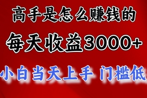 高手是怎么赚钱的,一天收益3000+,闷声发财项目,不是一般人能看懂的