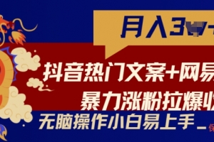 抖音热门文案+网易云截图暴力涨粉拉爆收益玩法,小白无脑操作,简单易上手