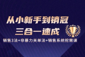 从小新手到销冠三合一速成:销售3法+非暴力关单法+销售系统挖需课 (27节)