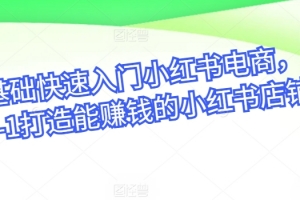零基础快速入门小红书电商,从0-1打造能赚钱的小红书店铺