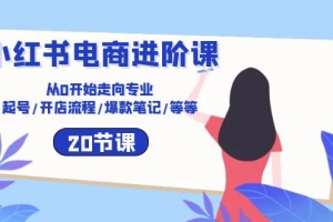 小红书电商进阶课:从0开始走向专业 起号/开店流程/爆款笔记/等等(20节)