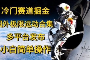 冷门赛道掘金,国外极限运动视频合集,多平台发布,小白简单操作