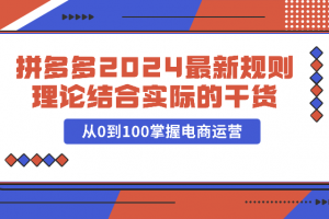拼多多2024最新规则理论结合实际的干货,从0到100掌握电商运营