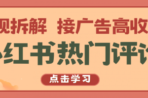 小红书热门评论,变现拆解,接广告高收入