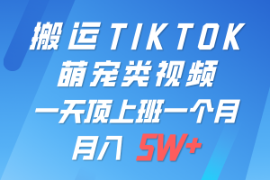 一键搬运TIKTOK萌宠类视频,一部手机即可操作,所有平台均可发布 轻松月入5W+