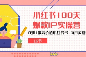 小红书100天爆款IP实操营,0到1做高价值小红书号,每月多赚3000+(16节)