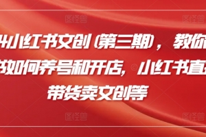 2024小红书文创(第三期),教你小红书如何养号和开店,小红书直播带货卖文创等