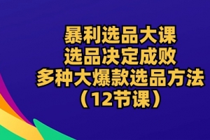 暴利 选品大课:选品决定成败,教你多种大爆款选品方法(12节课)