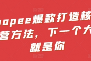 Shopee爆款打造核心运营方法,下一个大卖就是你