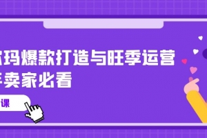 沃尔玛爆款打造与旺季运营,新手卖家必看(11节视频课)