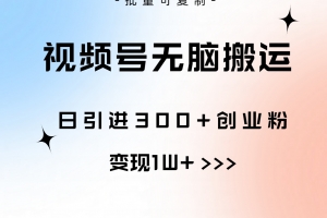 视频号无脑搬运日引300+创业粉,变现1W+可批量复制