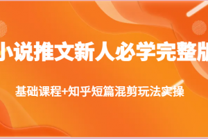 小说推文新人必学完整版,基础课程+知乎短篇混剪玩法实操