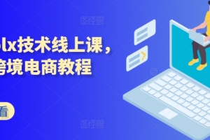 波兰olx技术线上课,kim跨境电商教程