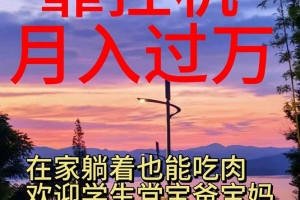 靠挂机,日入1000+,躺着也能吃肉,适合宝爸宝妈学生党工作室,电脑手…