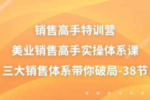 销售高手特训营,美业销售高手实操体系课,三大销售体系带你破局(38节)