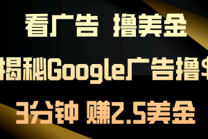 看广告,撸美金!3分钟赚2.5美金!日入200美金不是梦!揭秘Google广告…