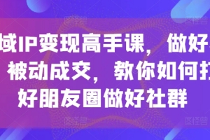 私域IP变现高手课,做好私域,被动成交,教你如何打造好朋友圈做好社群