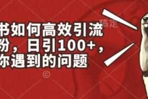 小红书如何高效引流创业粉,日引100+,解决你遇到的问题