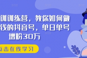 抖音实训训练营,教你如何做一个赚钱的抖音号,单日单号增粉30万
