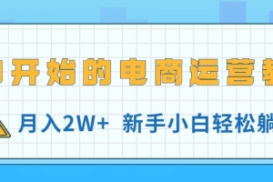 从0开始的电商运营教学,月入2W+,新手小白轻松躺赚