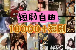 打造完全属于自己的个人短剧库,实现网盘拉新与私域变现的完美融合!