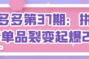 拼多多第37期:拼多多单品裂变起爆2.0