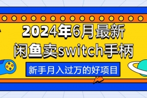 2024年6月最新闲鱼卖switch游戏手柄,新手月入过万的第一个好项目