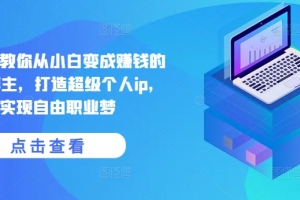 手把手教你从小白变成赚钱的创业博主,打造超级个人ip,实现自由职业梦