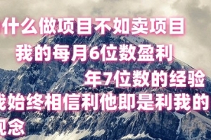 做项目不如卖项目,每月6位数盈利,年7位数经验