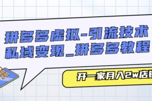拼多多虚拟引流技术与私域变现-拼多多教程:开一家月入2w店铺