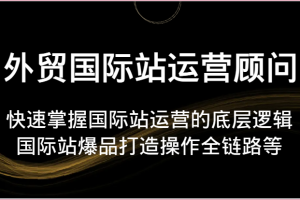 外贸国际站运营顾问-快速掌握国际站运营的底层逻辑,国际站爆品打造操作全链路等