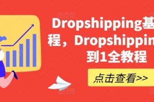 Dropshipping基础课程,Dropshipping从0到1全教程