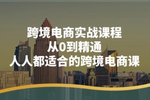 跨境电商实战课程:从0到精通,人人都适合的跨境电商课(14节课)