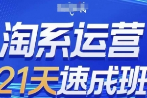 淘系运营21天速成班(更新24年6月),0基础轻松搞定淘系运营,不做假把式