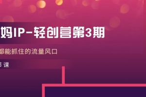 宝妈IP轻创营第3期,人人都能抓住的流量风口(21节课)