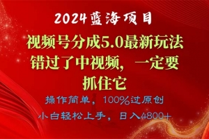 2024蓝海项目,视频号分成计划5.0最新玩法,错过了中视频,一定要抓住…